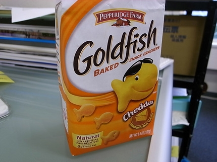 goldfish.jpg