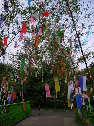 tanabata07.jpg